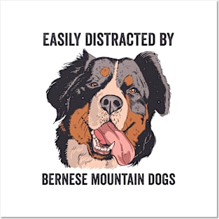 Easily Distracted By Bernese Mountain Dog Posters and Art